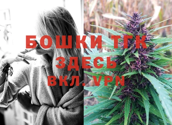 тгк Богданович