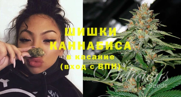 тгк Богданович