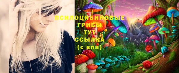 МДМА Богородск