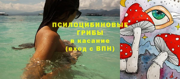 тгк Богданович