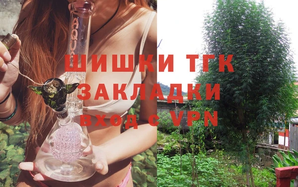 тгк Богданович