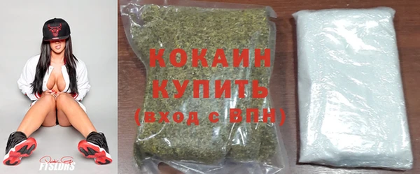 тгк Богданович